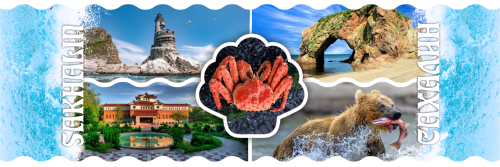 Sakhalin cups  Plastic 3