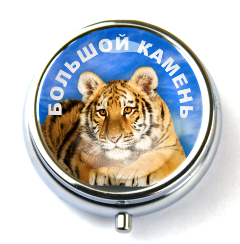 Artyom  plate 9 ИМ