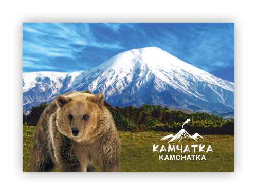 kamchatka postcard кети