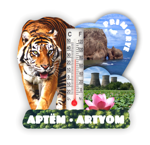 shamora artyom plate 3