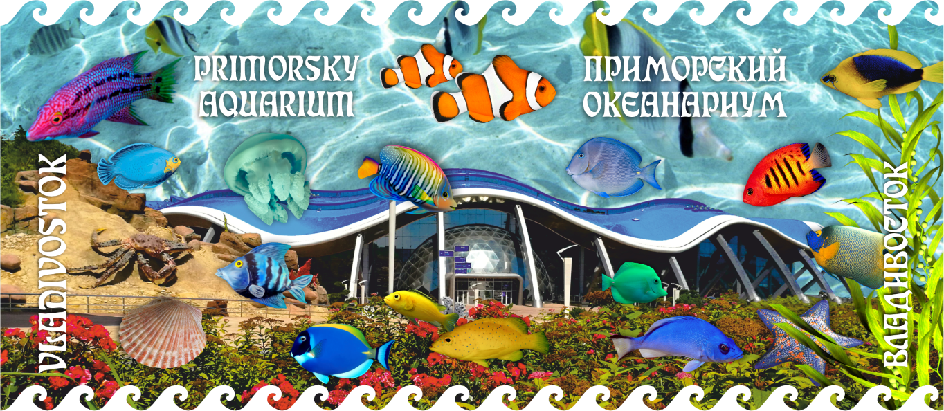 Океанариум кружки Oceanarium cups 3