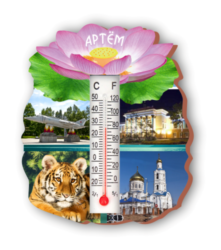 shamora artyom plate 1