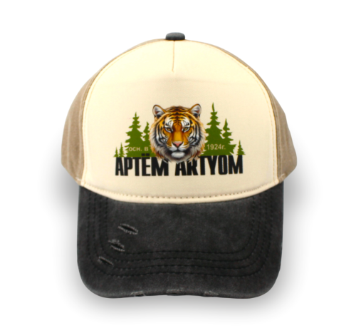 Безымянный-1 er