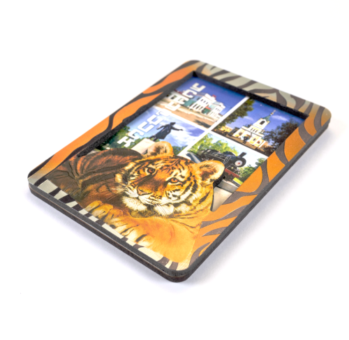 Безымянный-1.ьо1