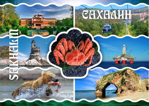 Sakhalin cups  Plastic 33