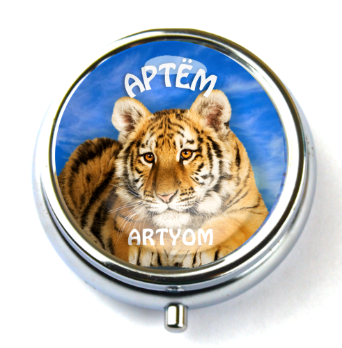 Artyom  plate 90