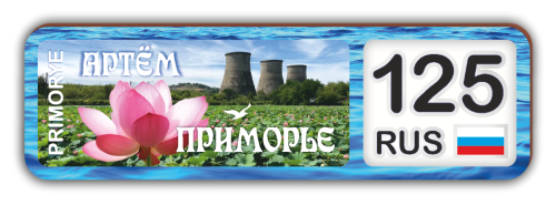 shamora artyom plate цуек